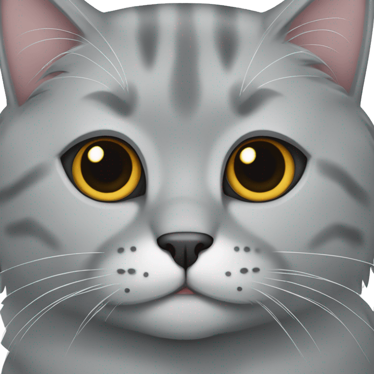 Gray Scotish fold cat emoji