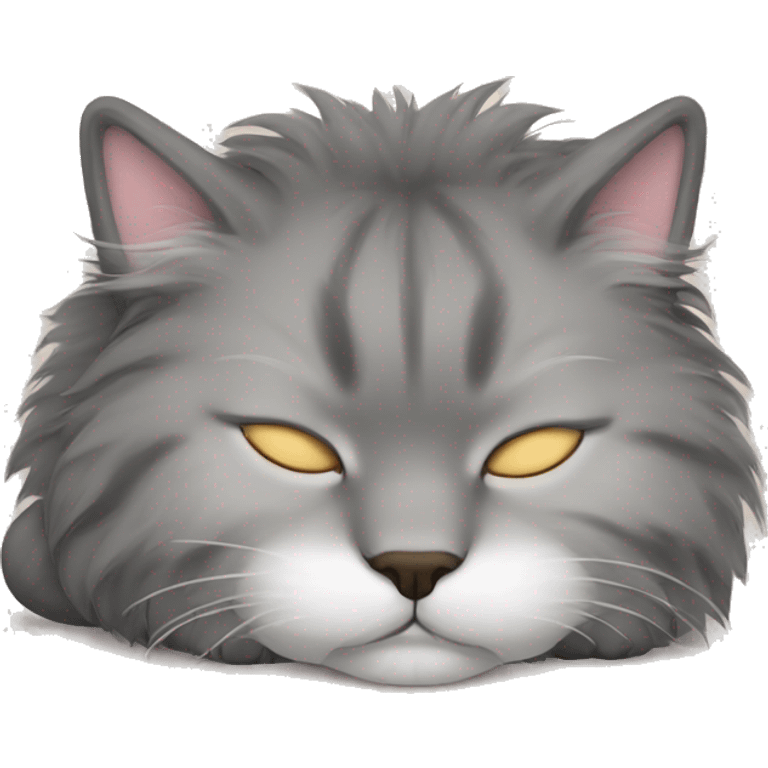 sleeping fluffy cat emoji