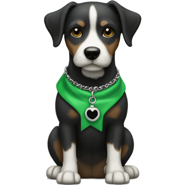 Chien noir avec un collier vert et une tache blanche sur le torse  emoji