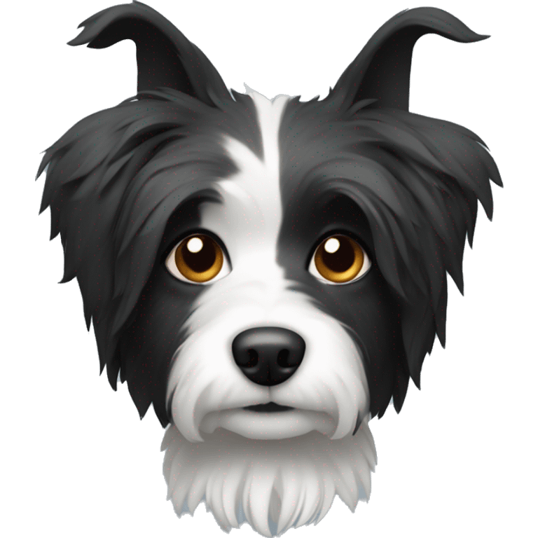 Shaggy black and white small dog with pointed ears  emoji