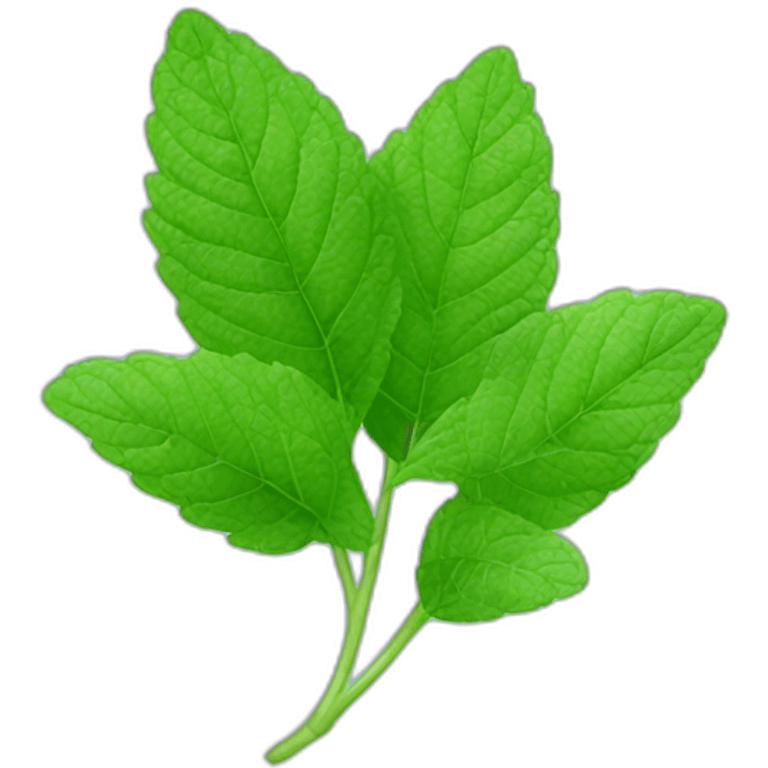 mint leaf emoji