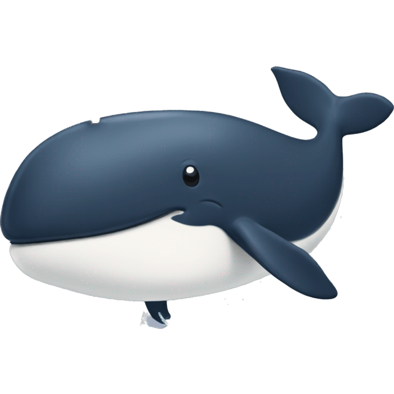 whale with a sign that says jonah emoji