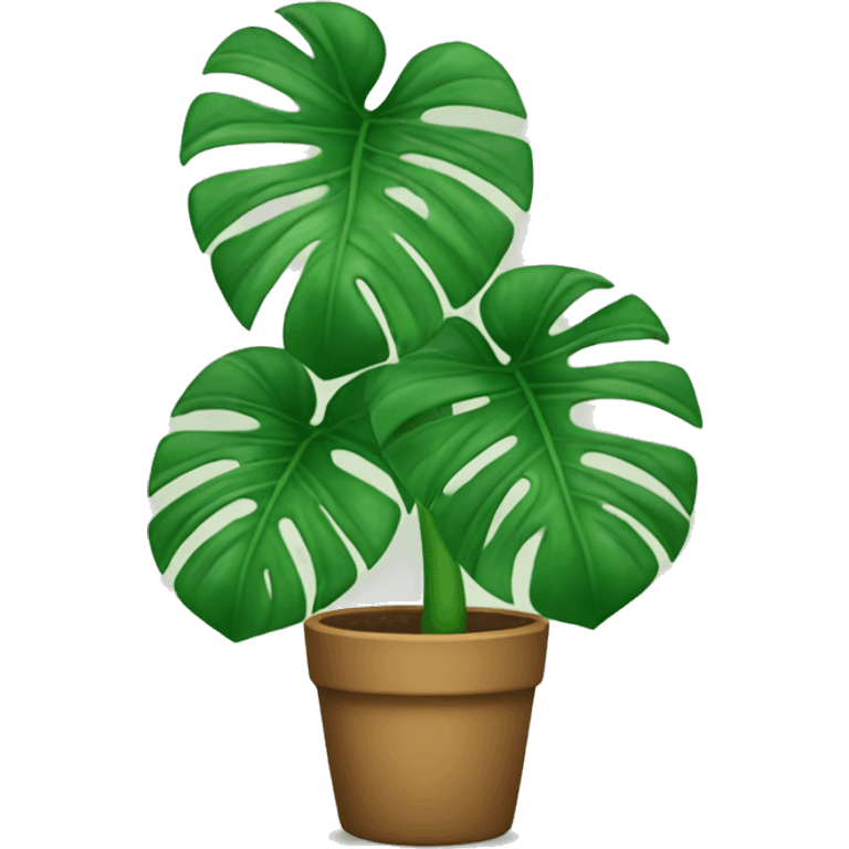 Monstera plant emoji