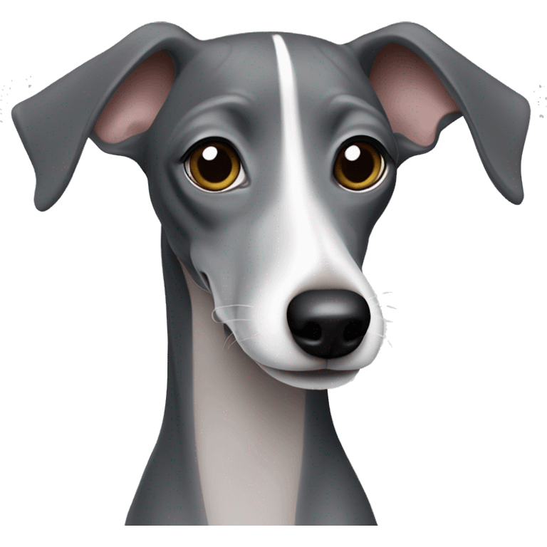 Dark grey Italian greyhound with lighter grey snout emoji