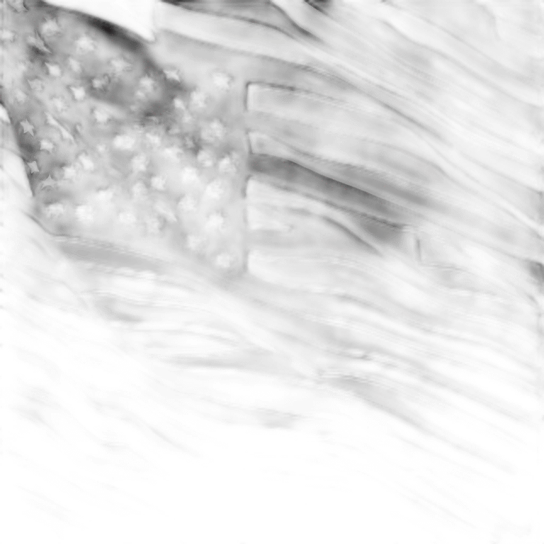 Flag black and white emoji