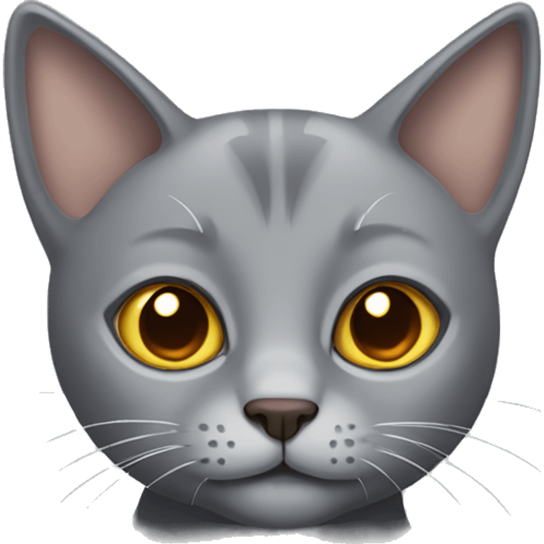 grey cat with small ears and brown eyes  emoji