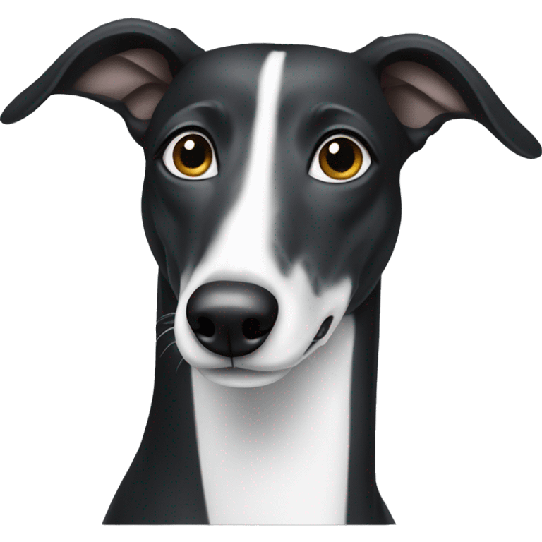 Black and white greyhound emoji