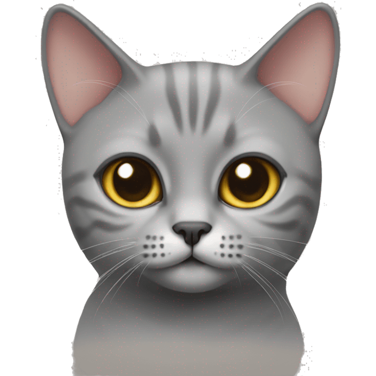 British short hair cat emoji