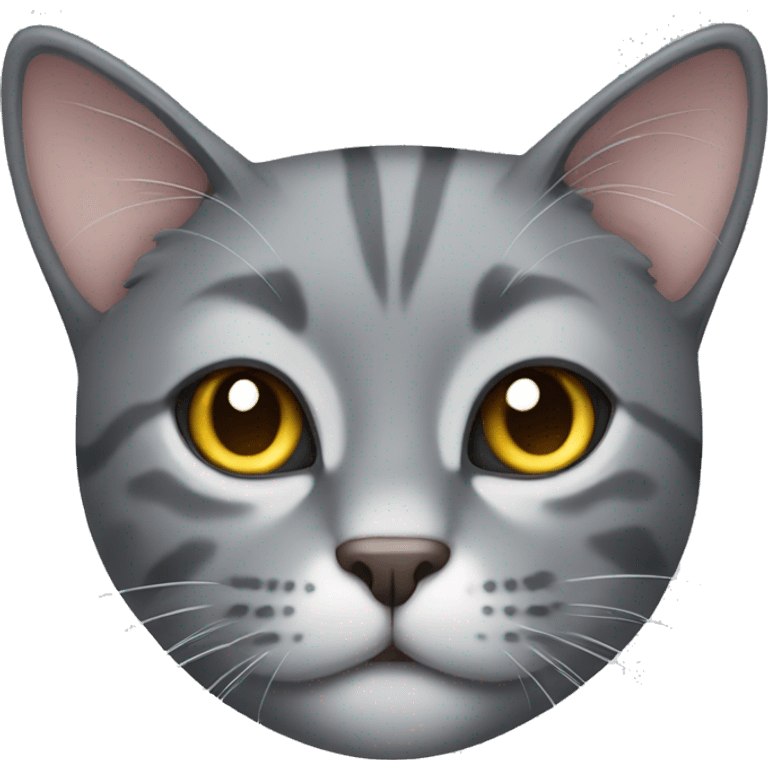 gray cat emoji