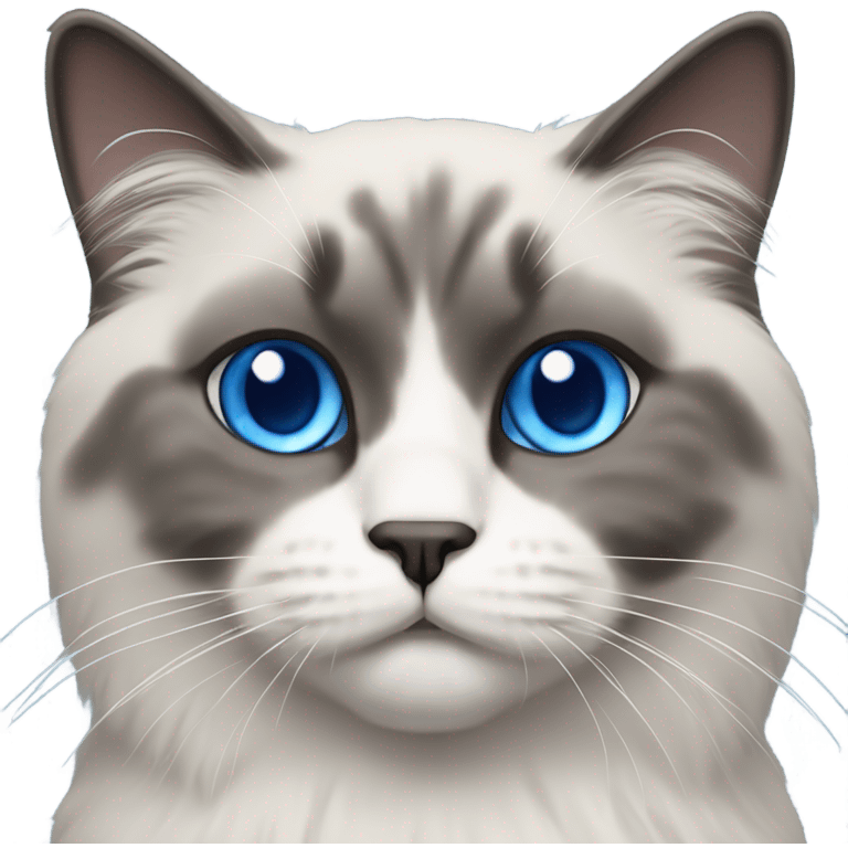 Blue point ragdoll cat with short length hair, with blue eyes, dark face and white body emoji