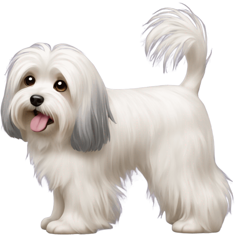 havanese dog walk long hair emoji