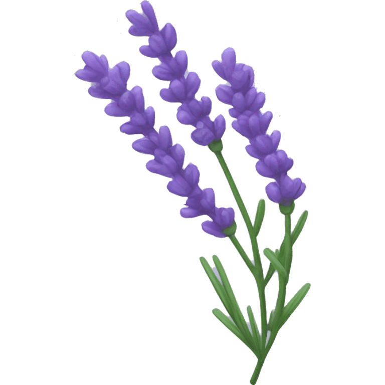 a sprig of lavender emoji