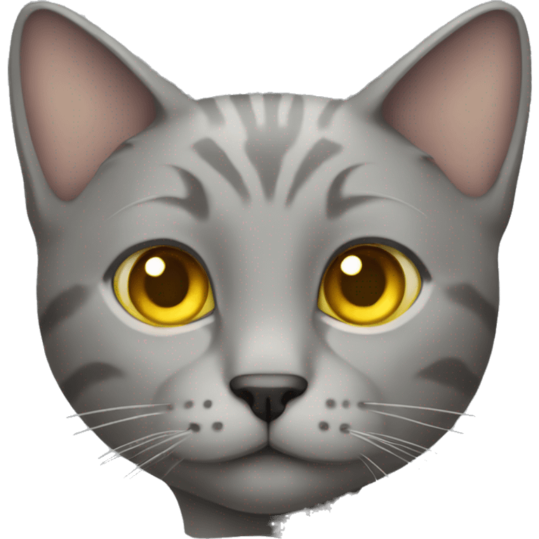 gray fold-eared cat with yellow eyes emoji