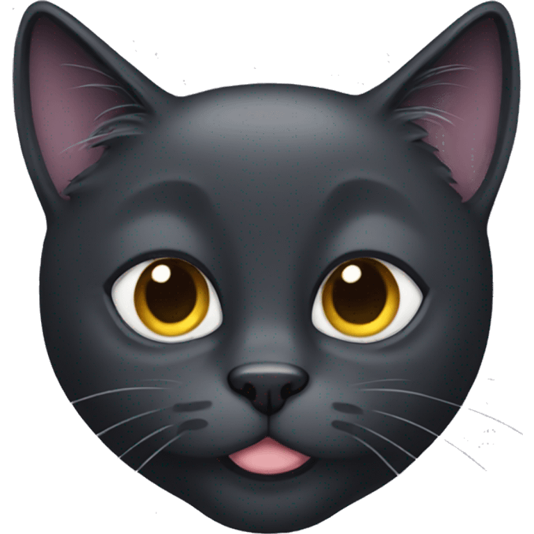 black cat long-haired  emoji