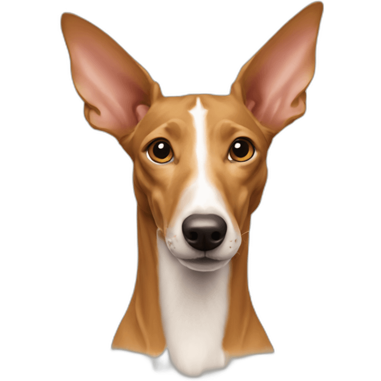 podenco andaluz emoji