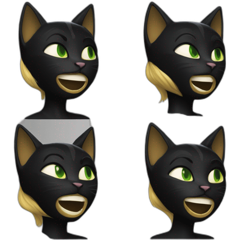 Cat noir miraculous emoji