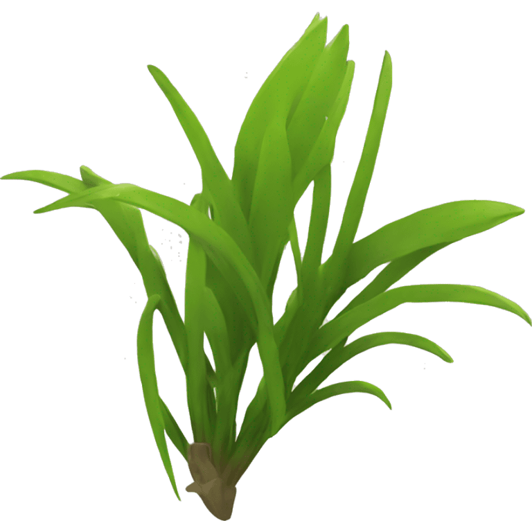 	Flatspike sedge emoji