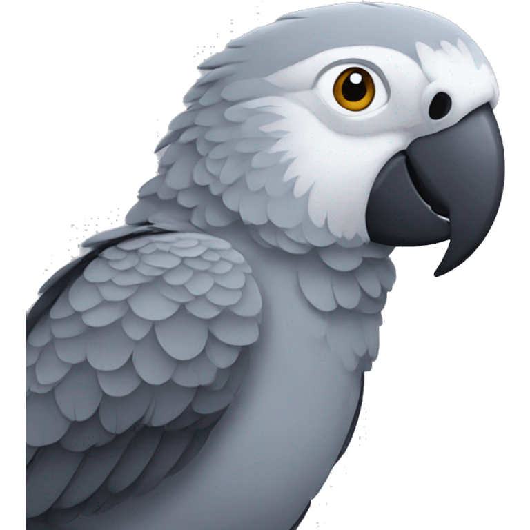 grey parrot  emoji