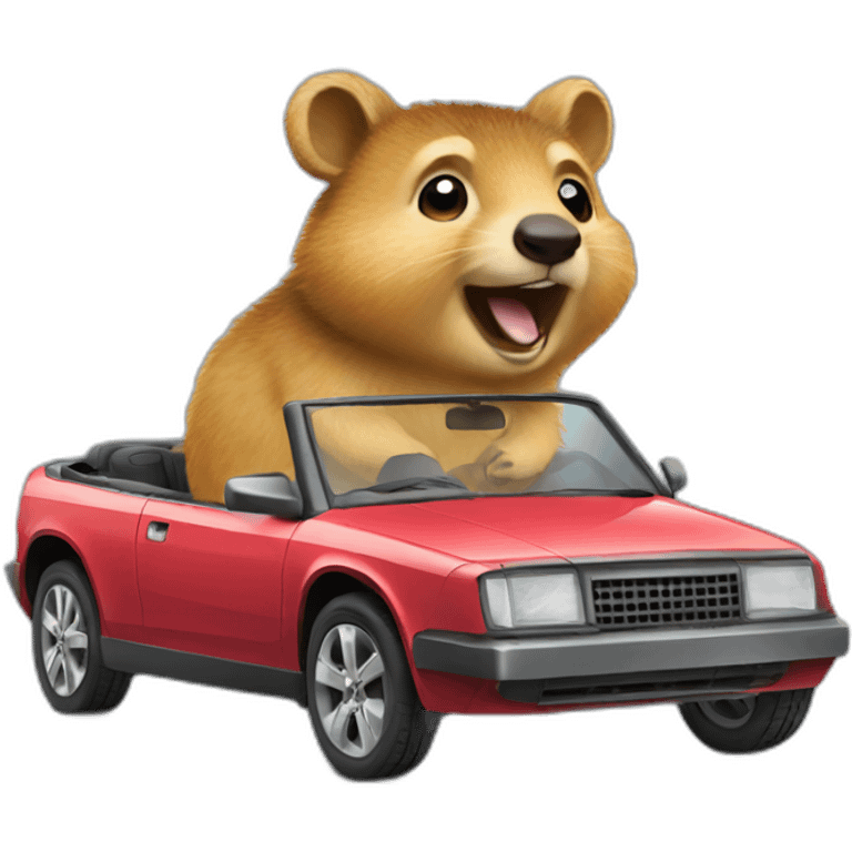 quokka in convertible car emoji