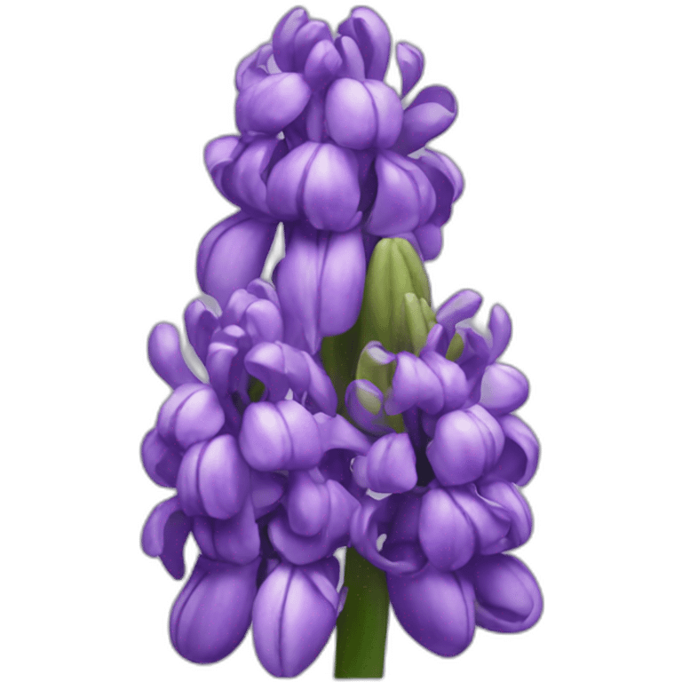 Purple hyacinth flower emoji