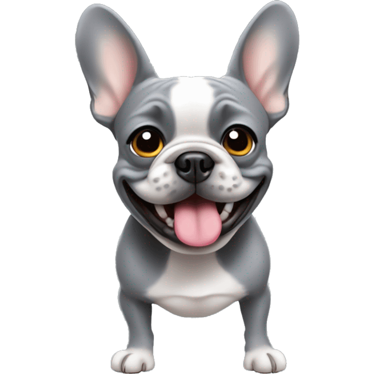 grey frenchie doing funny things  emoji