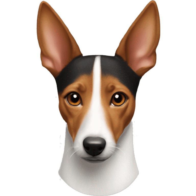 Basenji rat terrier  emoji