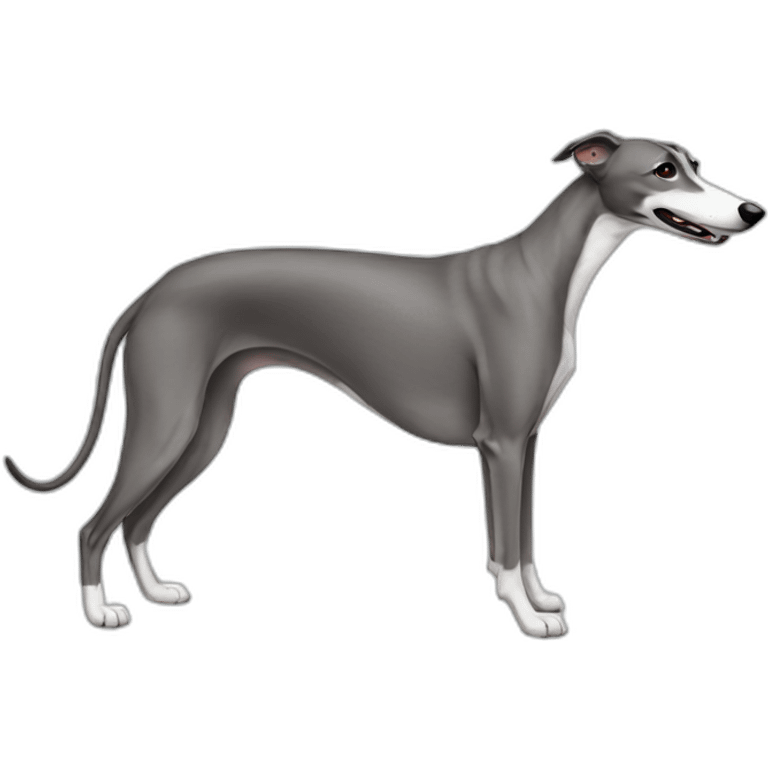 Greyhound side emoji