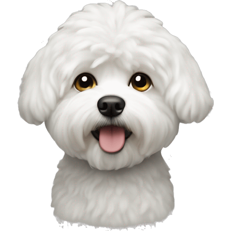 White bolognese bichon dog emoji