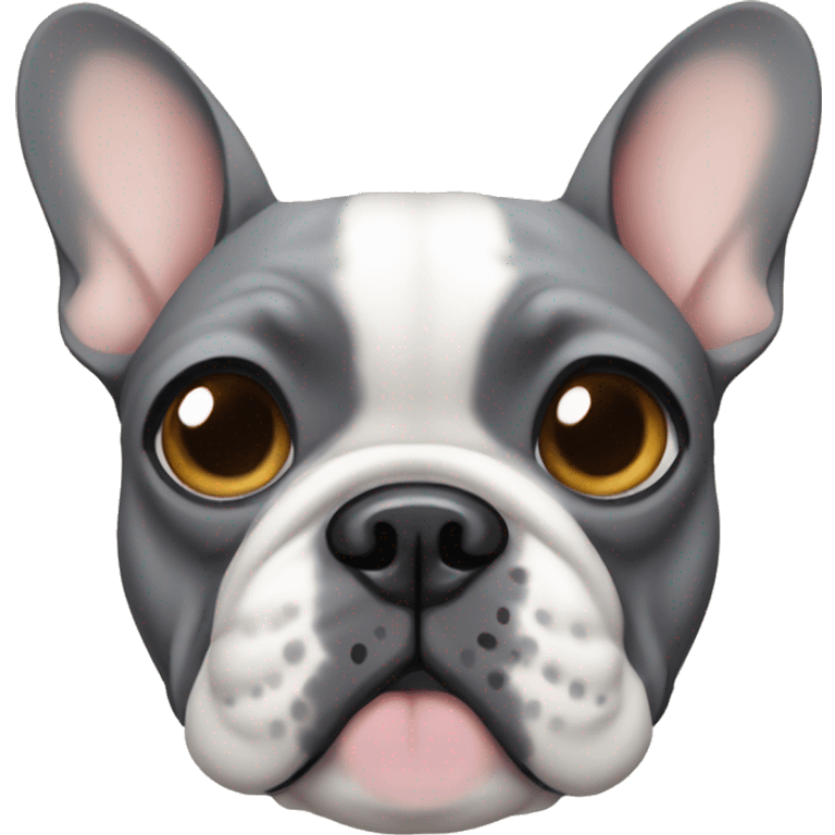 French bulldog grey and tan with tan patches above eyes emoji