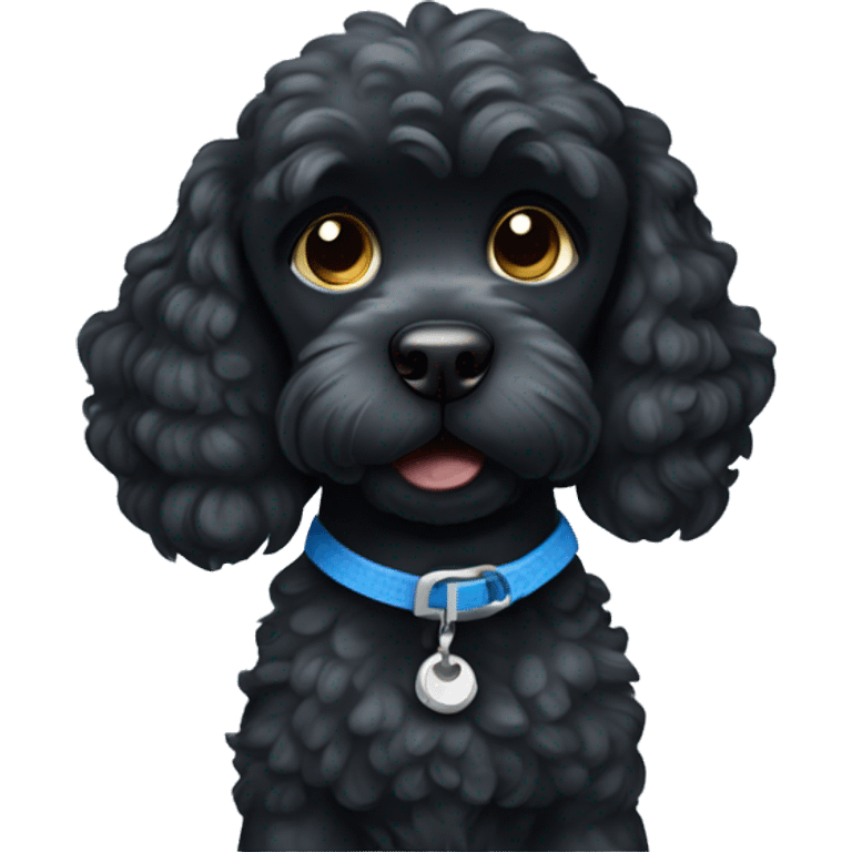 Black cockapoo dog with blue collar emoji