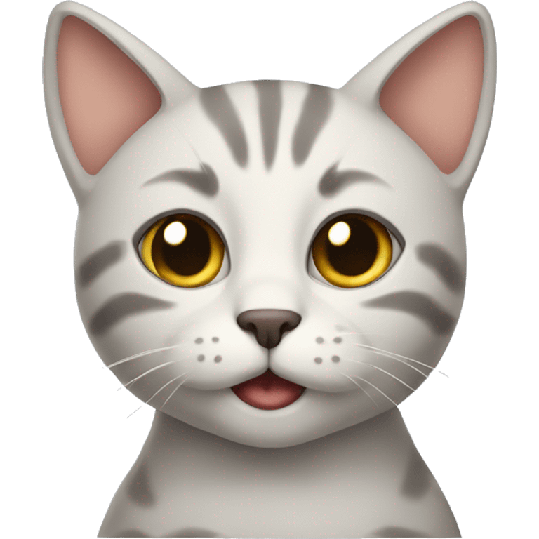 Cat learn Romanian language emoji