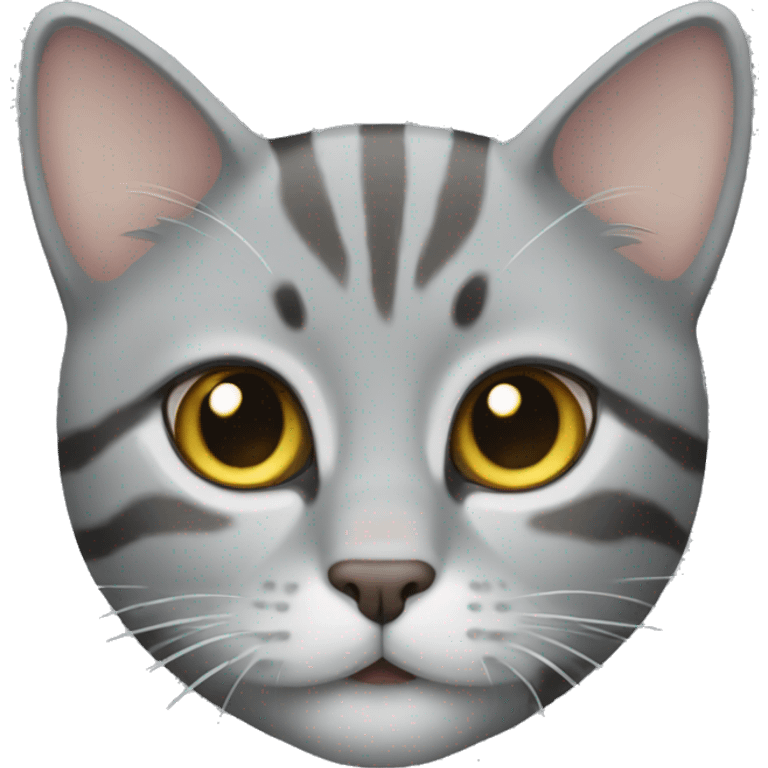 Grey tabby cat emoji