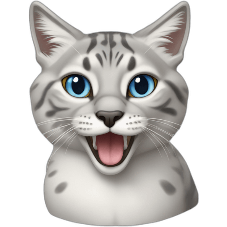 Blue lynx point cat eating duck magret emoji