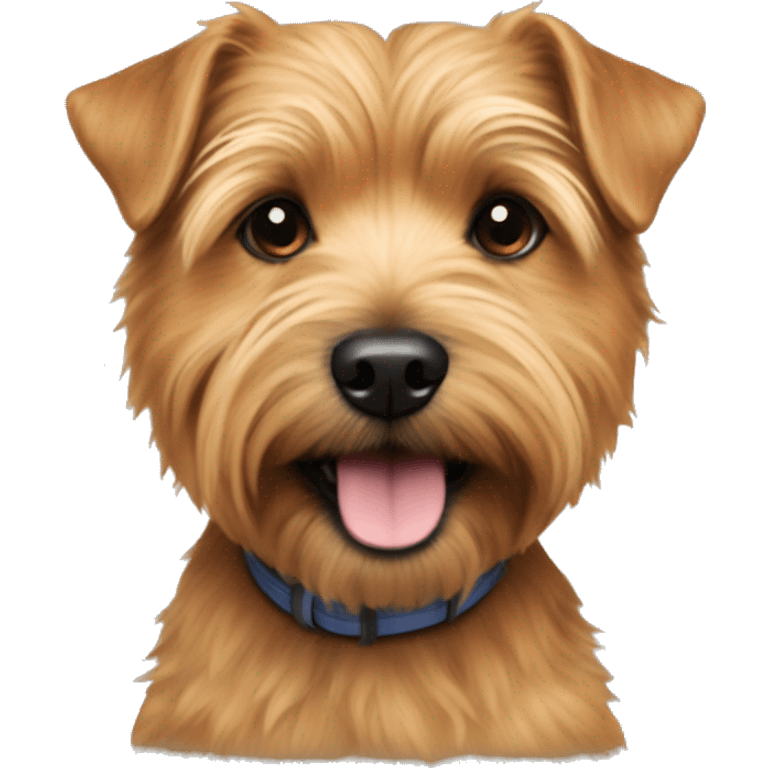 norfolk terrier with ab emoji