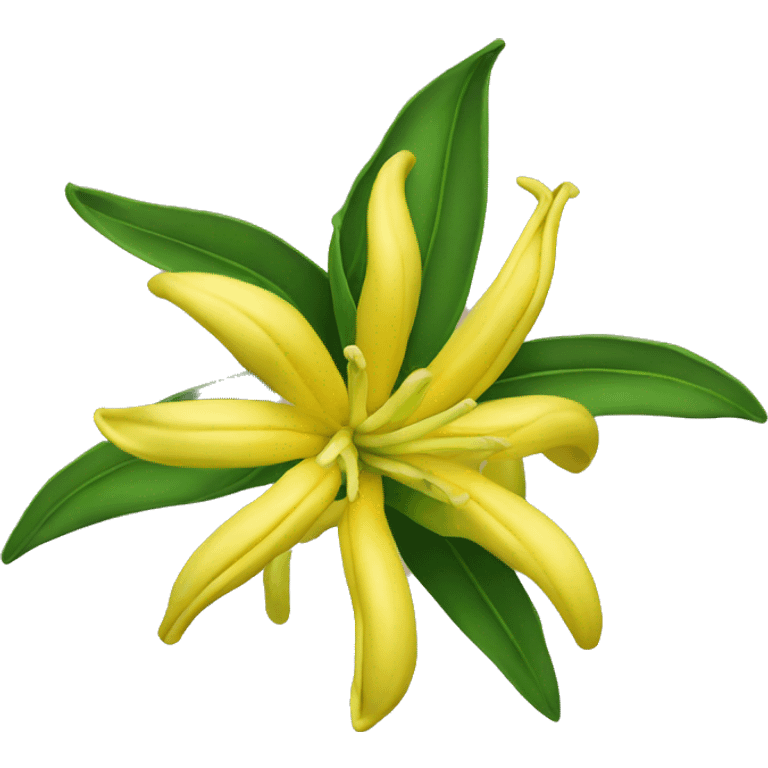 ylang ylang flower emoji