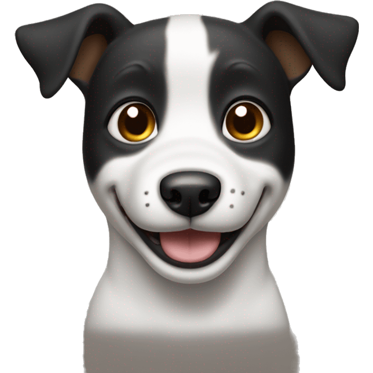 Black and white dog with standing ears, Brown eyes and a smile  emoji