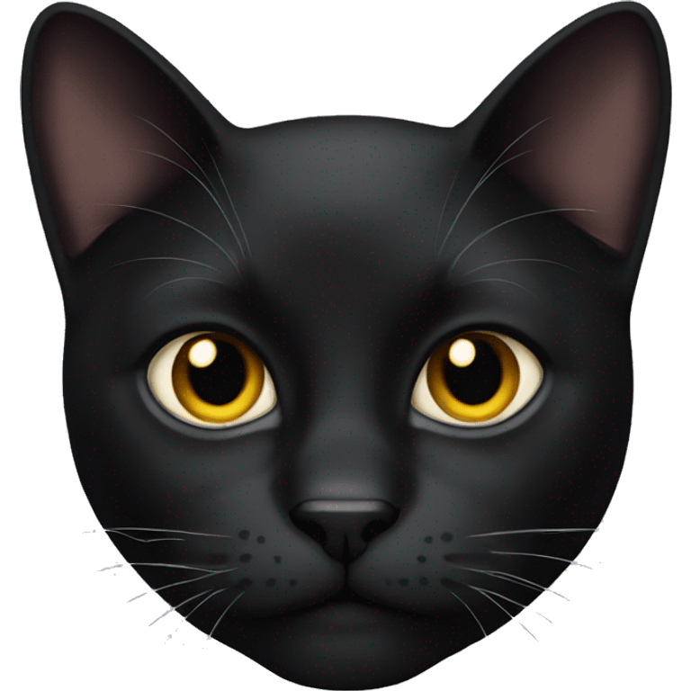 Black cat emoji