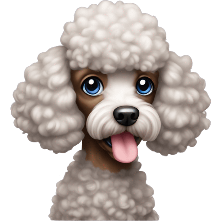 Mini multicolor poodle with blue eyes  emoji