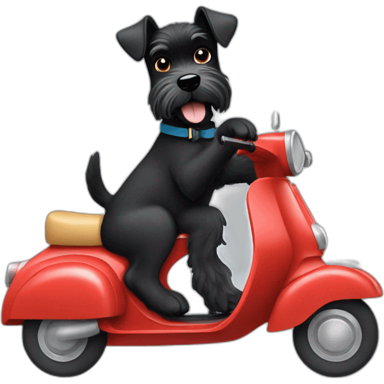 Miniature black Schnauzer driving a vespa emoji