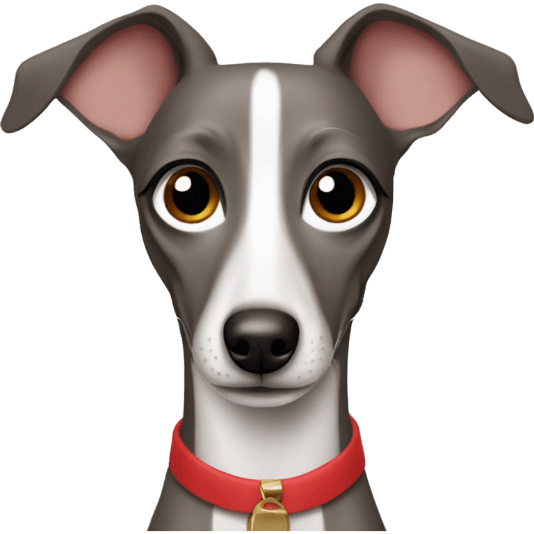 Italian greyhound  emoji