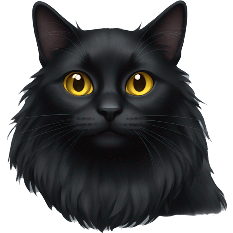 black cat long-haired  emoji