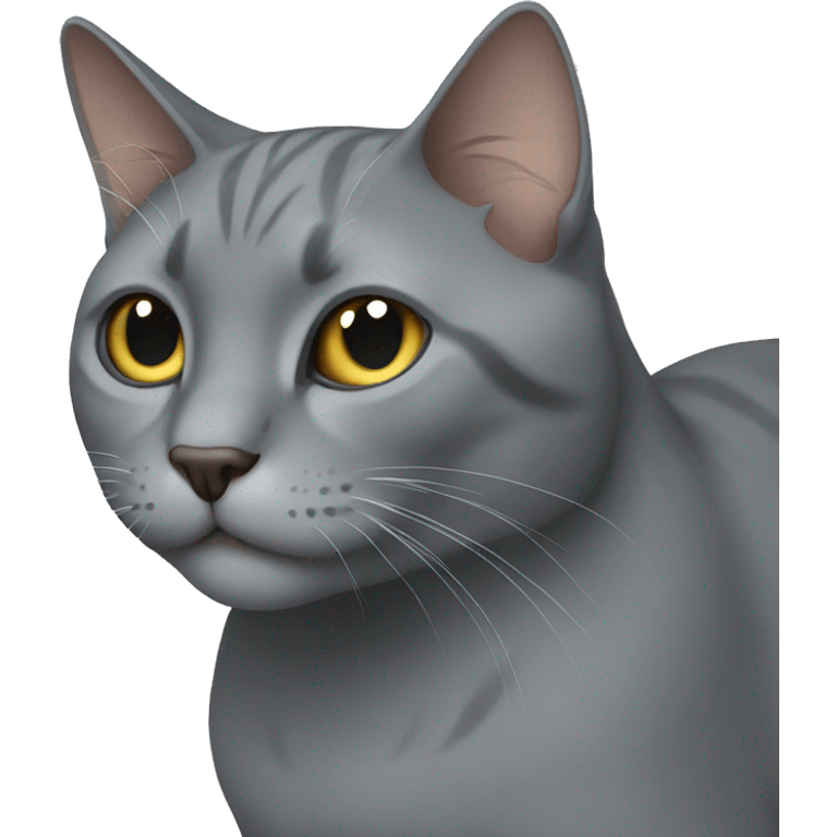 Gray cat emoji