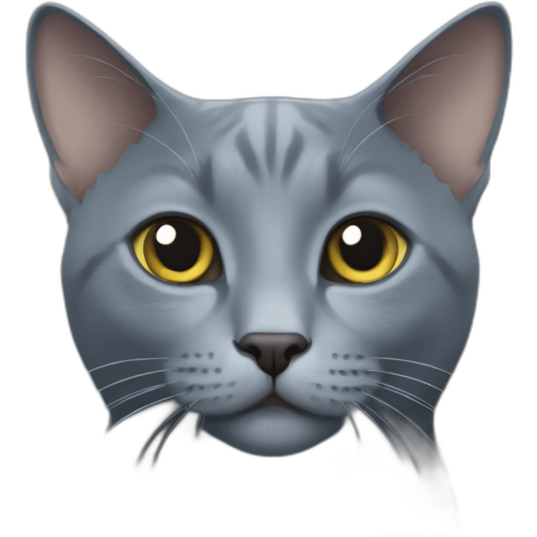 Russian blue cat emoji