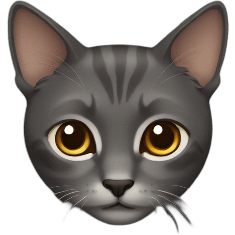 dark grey amd brown cat emoji