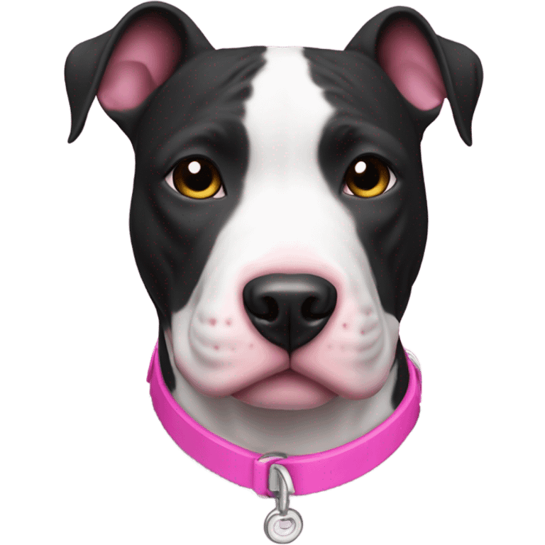 Black and white pitbull terrier with a pink collar emoji