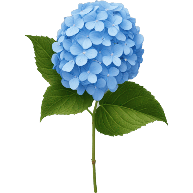 hydrangea blue emoji