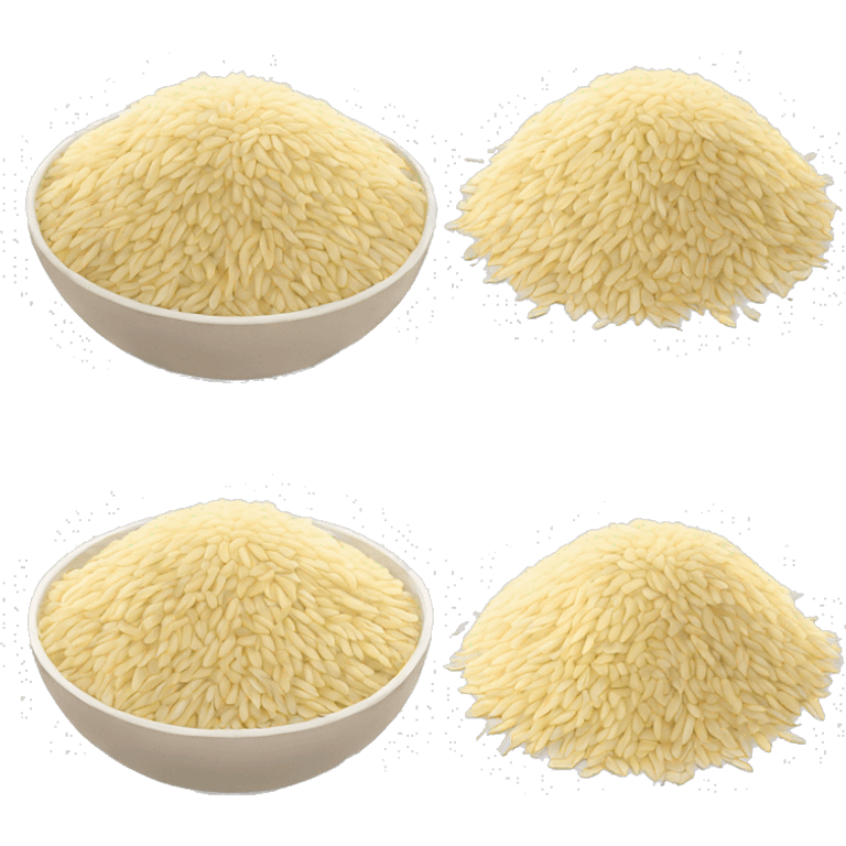 PAKISTANI RICE emoji