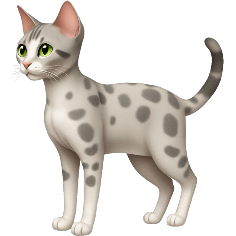 Short-haired oriental cat ,full body , grey coat with small spots , green eyes , terracotta nuzzle emoji