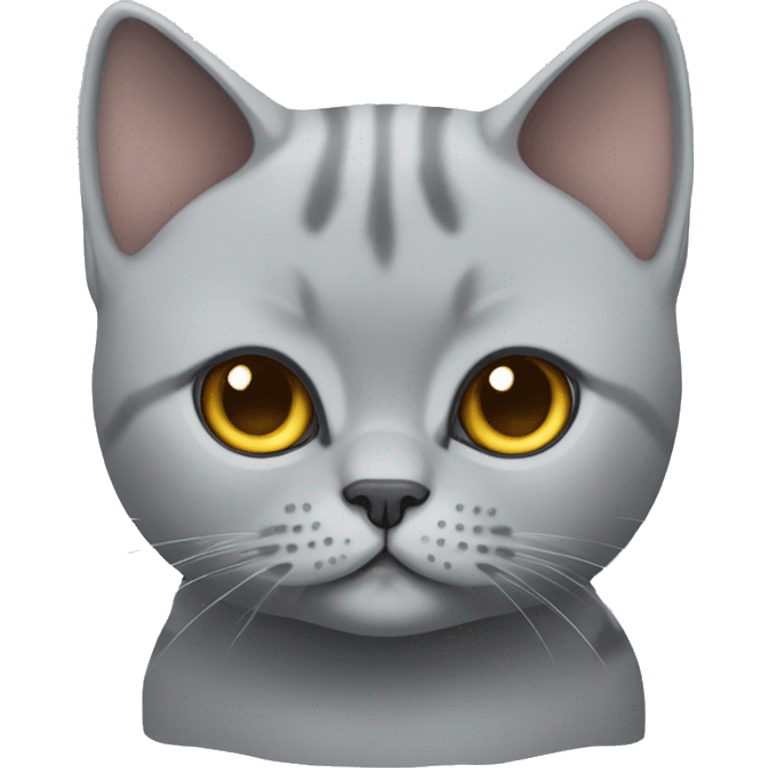 Cute Grey British shorthair cat full body emoji