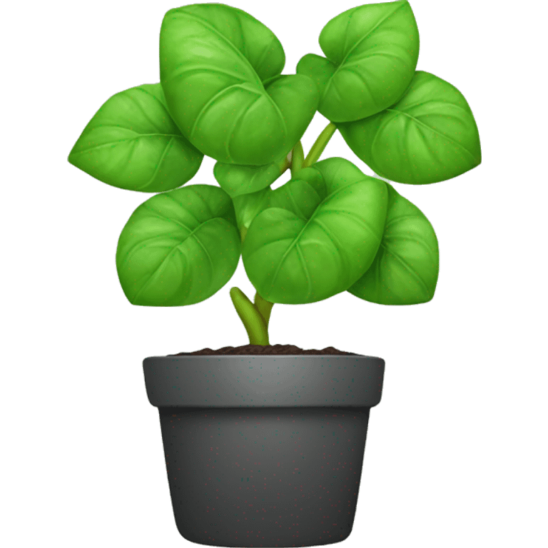 Money plant emoji